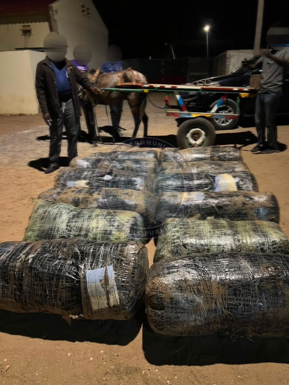 Lutte contre le trafic de drogue : 360 kg de chanvre indien saisis à Joal - Image 1